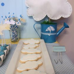 April Showers Birthday Party Theme